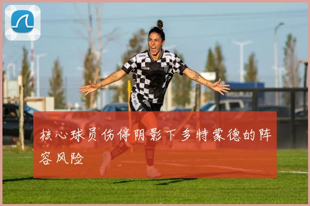 核心球员伤停阴影下多特蒙德的阵容风险