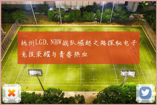 杭州LGD.NBW战队崛起之路探秘电子竞技荣耀与青春热血