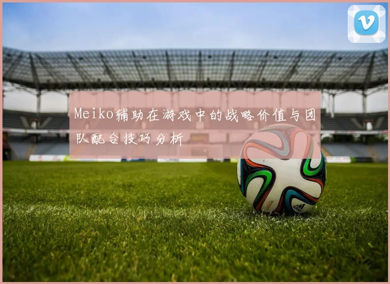 Meiko辅助在游戏中的战略价值与团队配合技巧分析