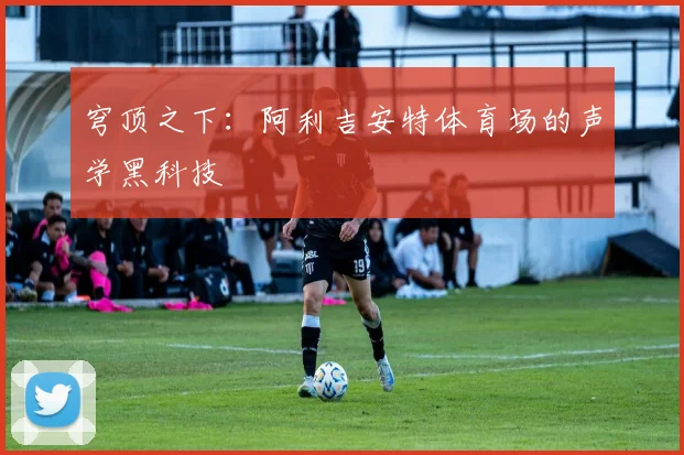 穹顶之下：阿利吉安特体育场的声学黑科技