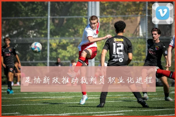 足协新政推动裁判员职业化进程