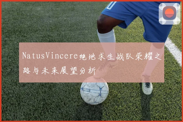 NatusVincere绝地求生战队荣耀之路与未来展望分析