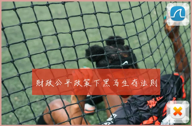 财政公平政策下黑马生存法则