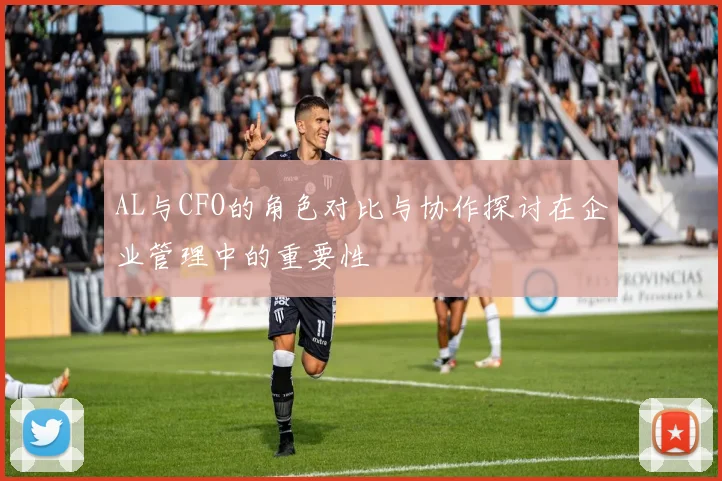AL与CFO的角色对比与协作探讨在企业管理中的重要性