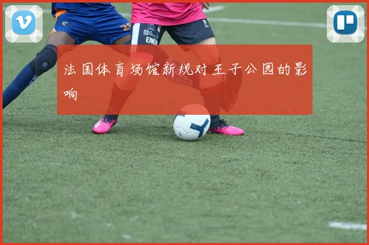 法国体育场馆新规对王子公园的影响